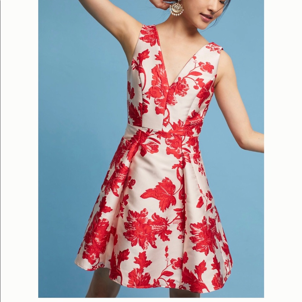 Anthropologie Dress